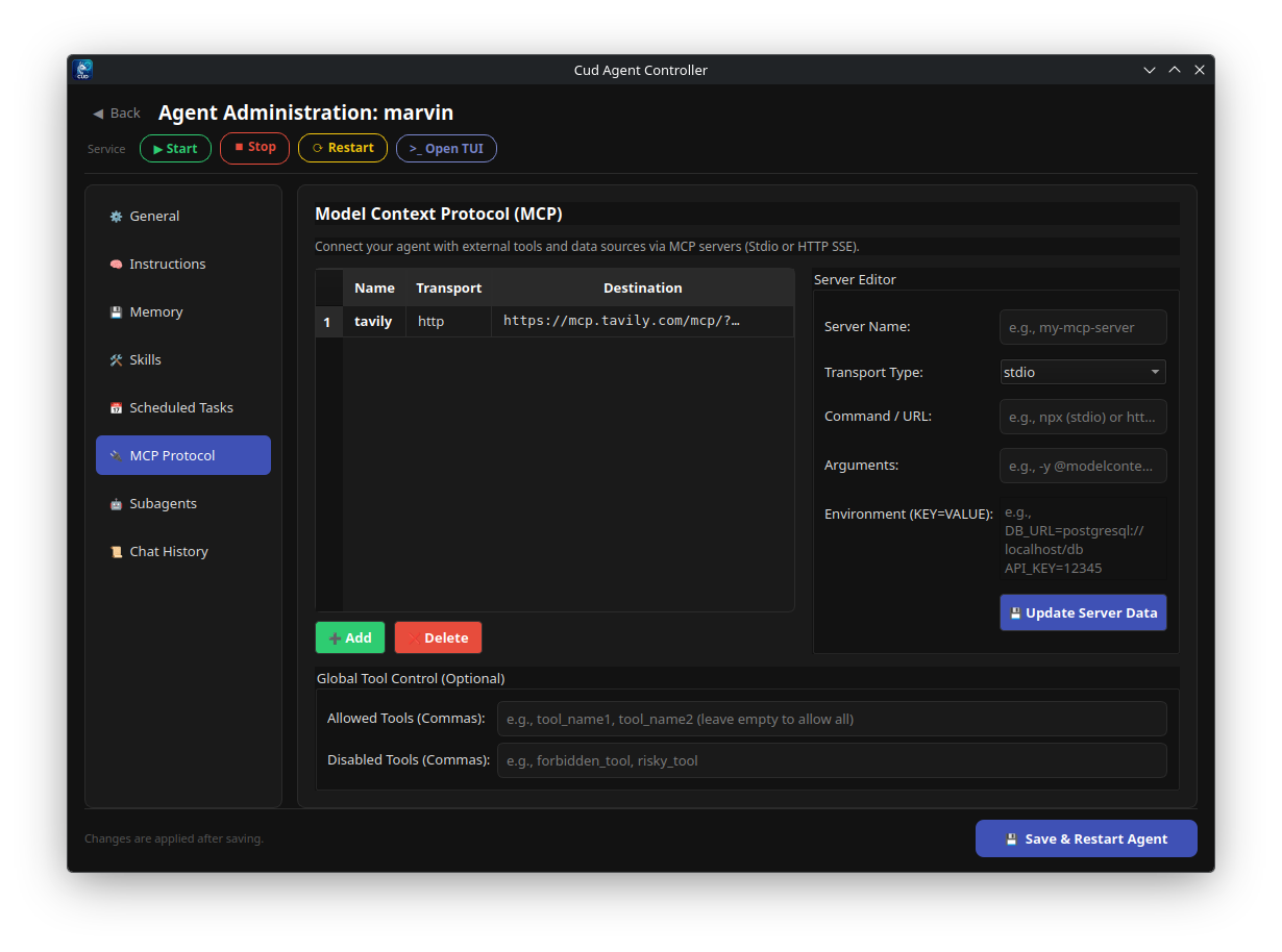 Model Context Protocol Manager